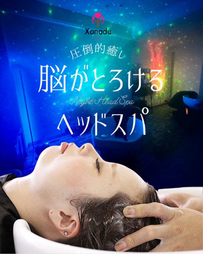 脳とろヘッドスパ”極み”コース